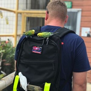 Meet your Posher, Justin